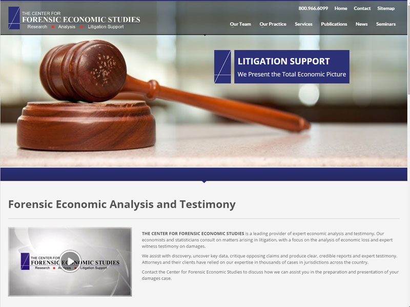 The Center for Forensic Economic Studies
